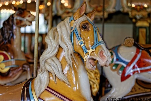 Frightened Carousel Horse